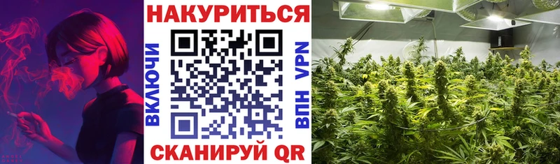 Марихуана VHQ  Купить закладки  Кондрово 